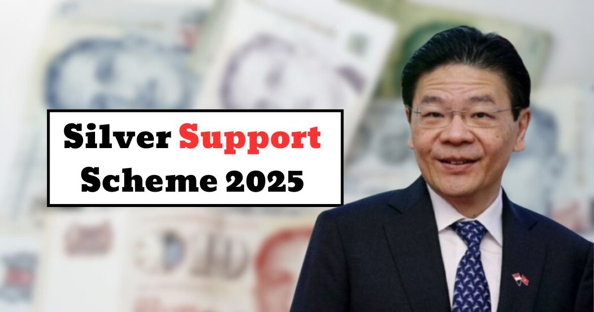 Silver Support Scheme 2025