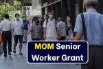 MOM Senior Worker Grant