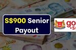 senior cash support Singapore