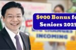 $900 Bonus for Seniors 2026